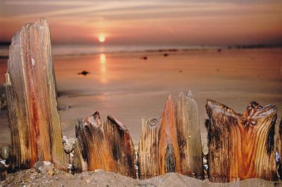 Wood on the Shore, by Rob Seymour Photography, Hartland, North Devon.  All rights reserved.